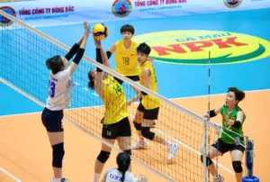 Số lượng vận động viên dự bị trong 1 đội bóng chuyền 